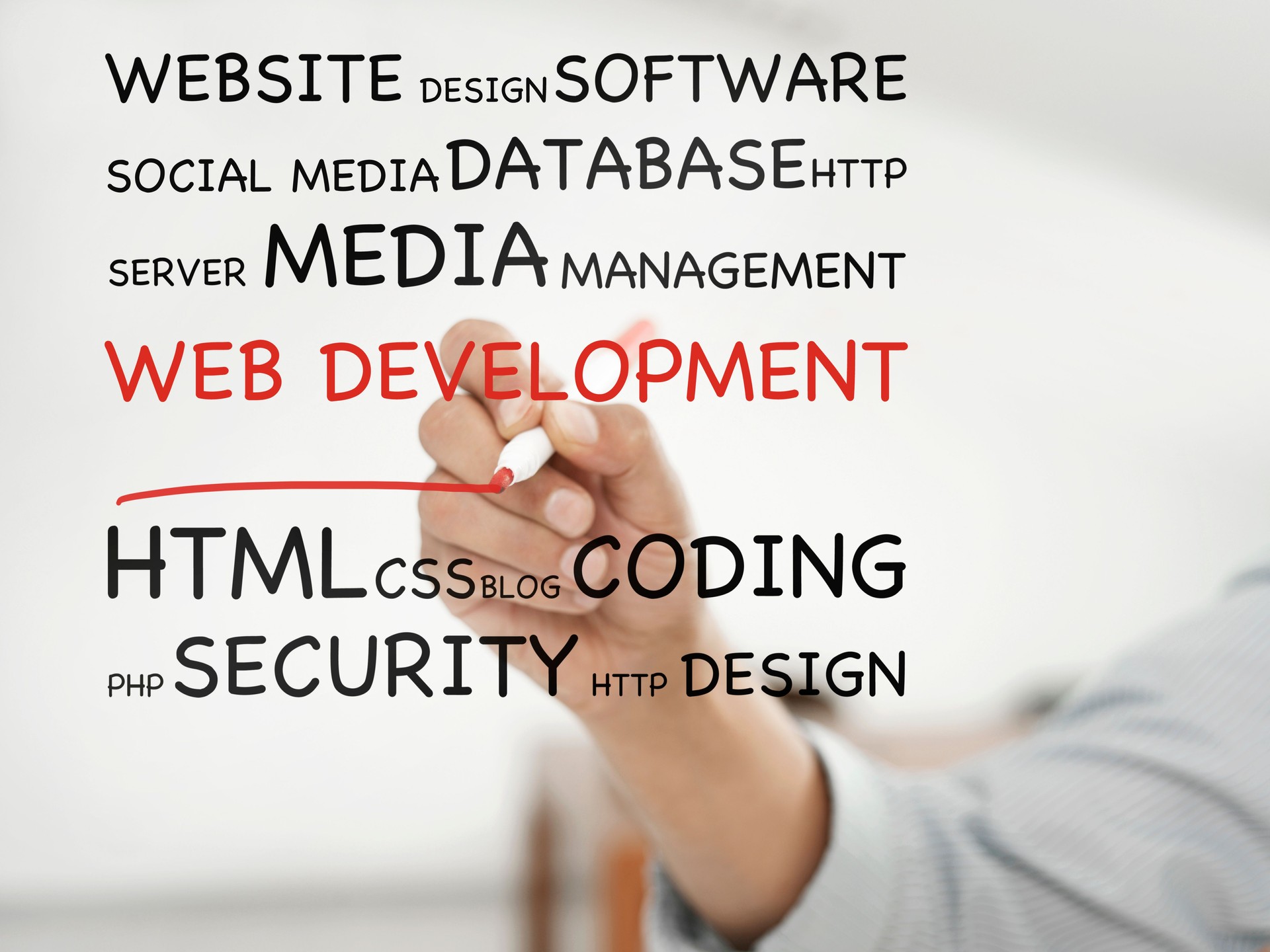 Web development